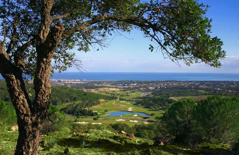 Out-Of-Bounds_LaReserva_golfbana