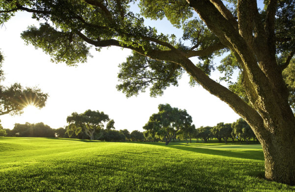 Out-Of-Bounds_Valderrama_golfbana