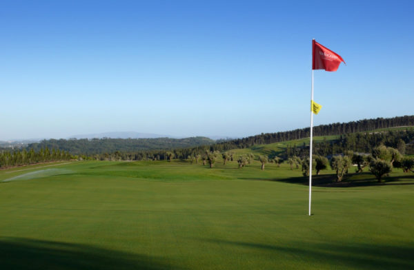 Out-Of-Bounds_Bom-Sucesso_golfbana