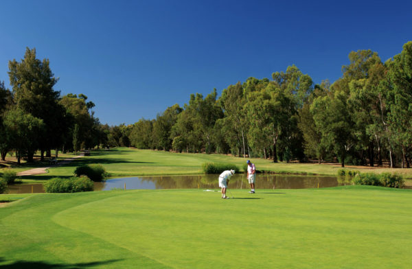 Out-Of-Bounds_Penina-resort_golfbana
