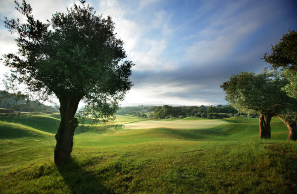 Out-Of-Bounds_Costa-Navarino_golfbana