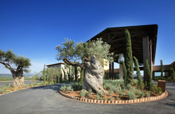 Out-Of-Bounds_Costa-Navarino_golfbana