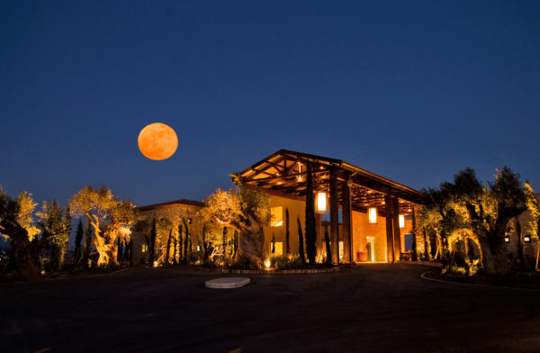Out-Of-Bounds_Costa-Navarino_hotell