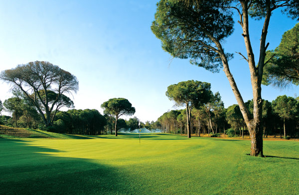 Out-Of-Bounds_Cornelia-Diamond_Faldo-Course_6