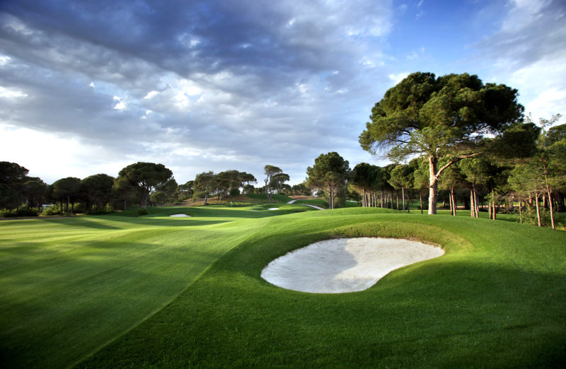 Out-Of-Bounds_Maxx-Royal_Montgomerie-Golf