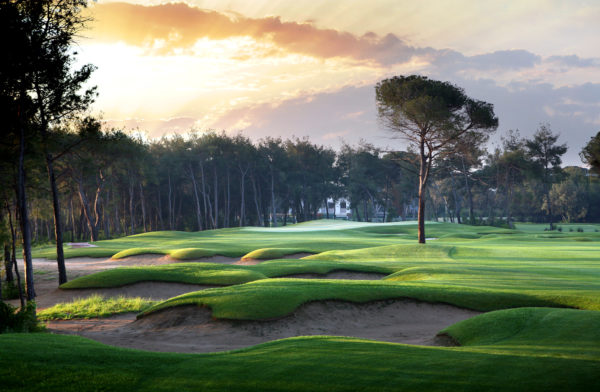 Out-Of-Bounds_Maxx-Royal_Montgomerie-Golf