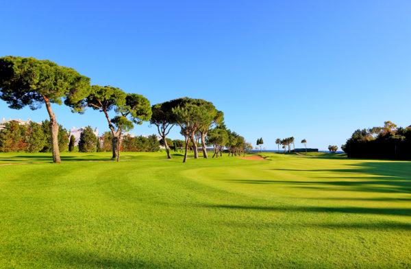 Out-Of-Bounds_Rio-Real_golfbana