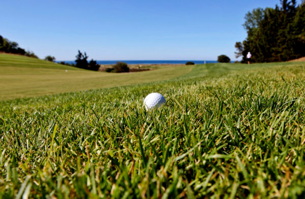 Out-Of-Bounds_Onyria-Palmares_golfbana