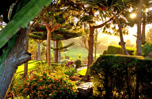 Out-Of-Bounds_BandamaGolf_Hotell