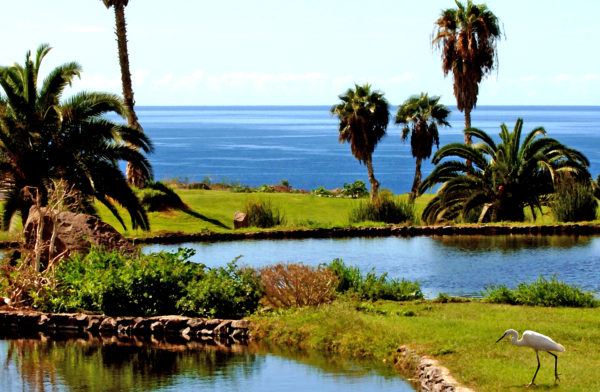 Out-Of-Bounds_LaCaleta_golf