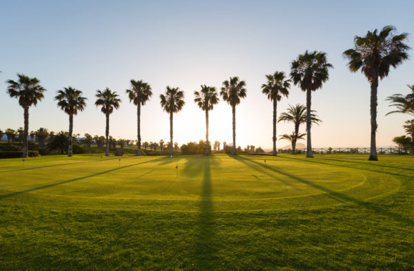 Out-Of-Bounds_LaCaleta_golf