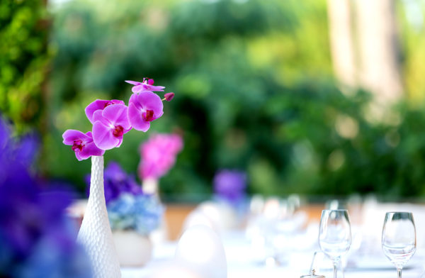 Out-Of-Bounds_Terre-Blanche_hotell