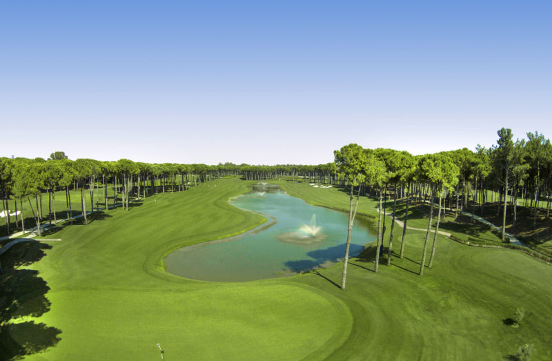 Out-Of-Bounds_RegnumCarya_golf