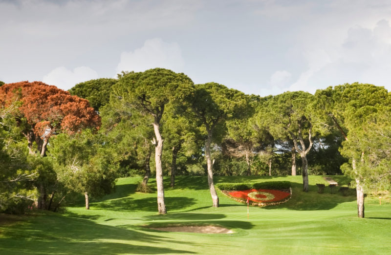 Out-Of-Bounds_RegnumCarya_golf