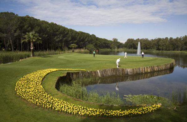 Out-Of-Bounds_RegnumCarya_golf