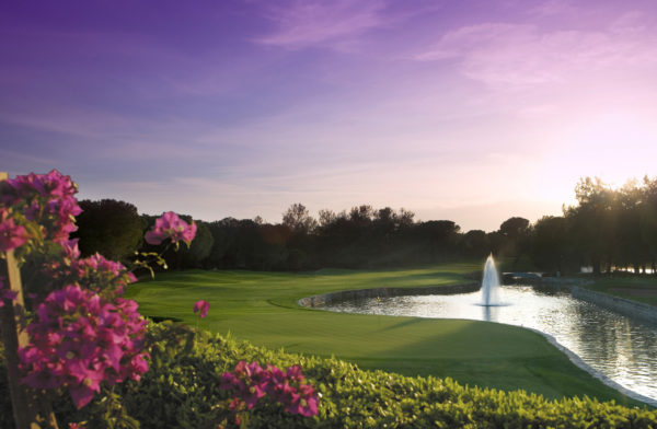 Out-Of-Bounds_RegnumCarya_golf