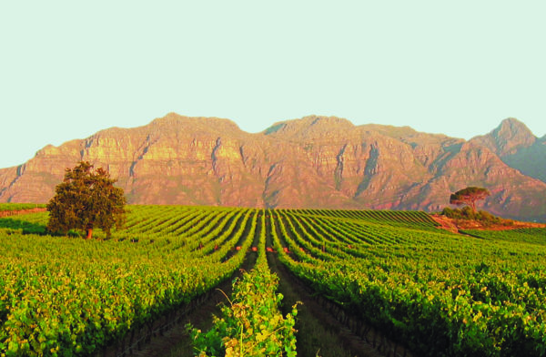 Out-Of-Bounds_De-Zalze-Lodge_hotell