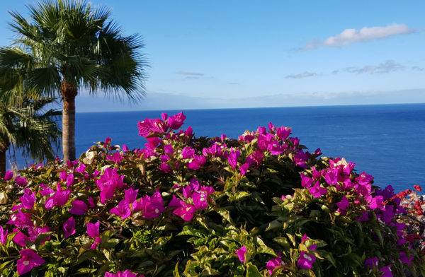 Out-Of-Bounds_LaGomera_hotell